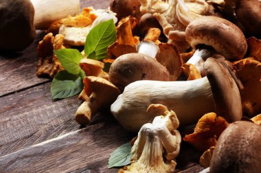 gri masada ham mantar çeşididir. İstiridye ve diğer taze mantar