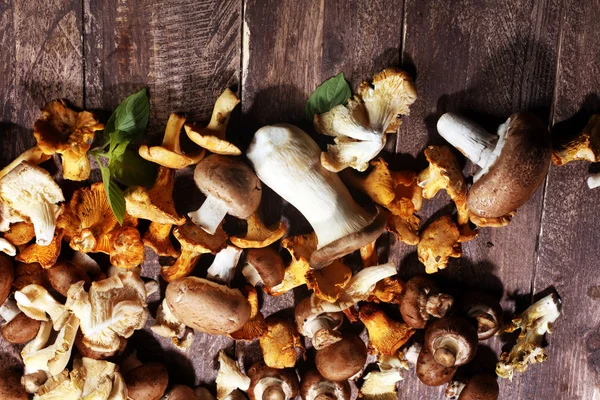 Verscheidenheid Aan Rauwe Paddestoelen Grijze Tafel Oesters Andere Verse Champignons — Stockfoto