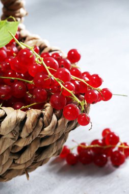 Kırsal masada taze kırmızı frenk üzümü. Sağlıklı yaz meyveleri.