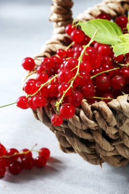 Kırsal masada taze kırmızı frenk üzümü. Sağlıklı yaz meyveleri.