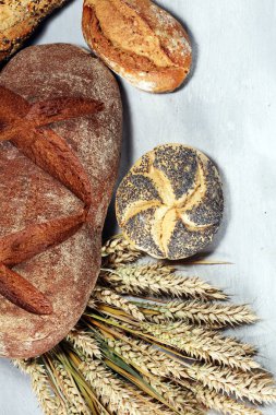 Ekmek ve ekmek çeşitleri gemide yukarıdan alır. Mutfak veya fırın poster tasarımı.