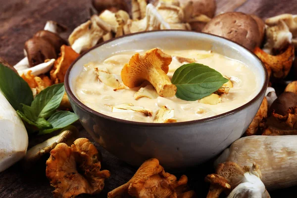 Mushroom soup and variety of raw mushrooms on wooden table. oyster and other fresh mushrooms — Stock Image Mushroom Soup Variety Raw Mushrooms Wooden Table Oyster Other Fresh Stock Photo