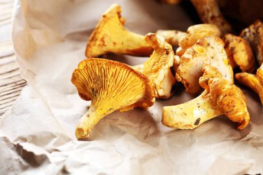 Mantar Cantharellus cibarius masada. Ham yabani mantar chanterelles. Yabani mantar ile kompozisyon.