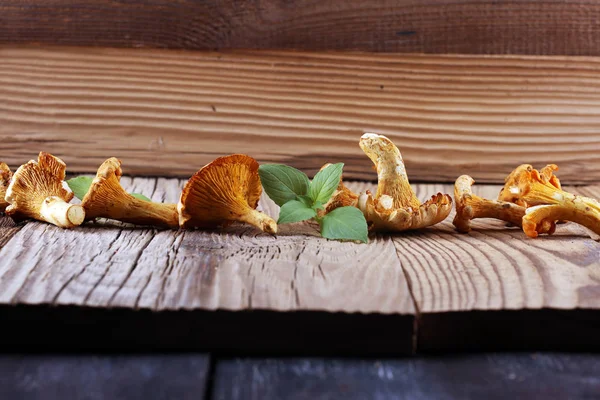 蘑菇鸡油菌在桌子上 生野蘑菇 Chanterelles 与野蘑菇组成 — 图库照片