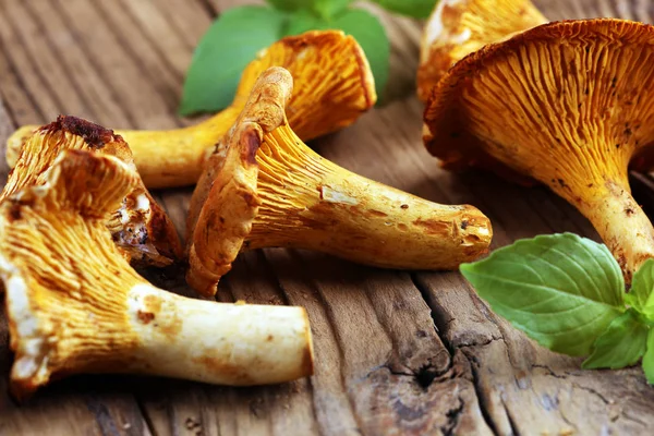 Paddestoelen Hanenkam Tafel Ruwe Boschampignons Cantharellen Samenstelling Met Wilde Paddestoelen — Stockfoto