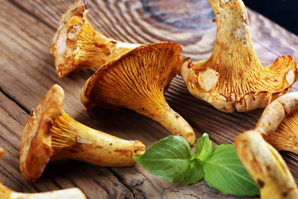 Mushrooms Chanterelle Table Raw Wild Mushrooms Chanterelles Composition Wild Mushroom — Stock Photo, Image