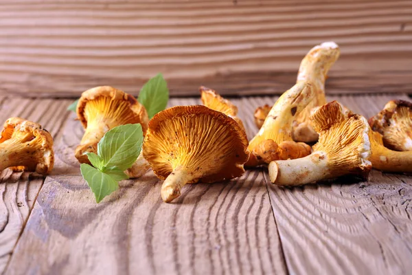 Paddestoelen Hanenkam Tafel Ruwe Boschampignons Cantharellen Samenstelling Met Wilde Paddestoelen — Stockfoto