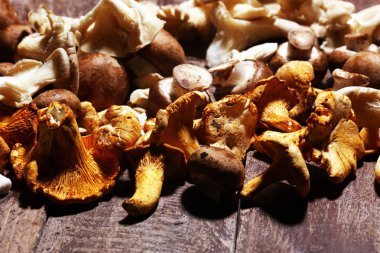 gri masada ham mantar çeşididir. İstiridye ve diğer taze mantar.