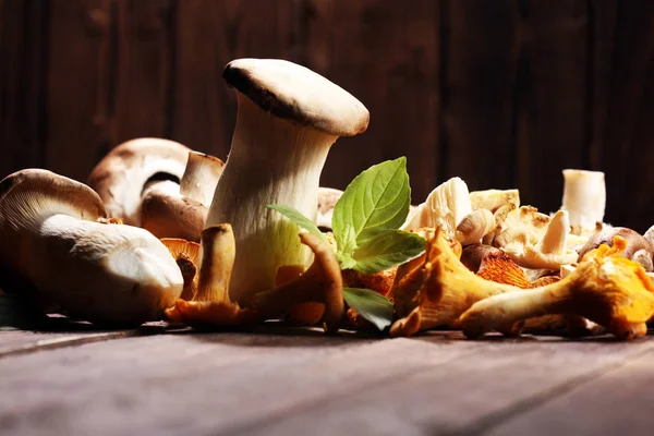 Variété Champignons Crus Sur Table Bois Huîtres Autres Champignons Frais — Photo