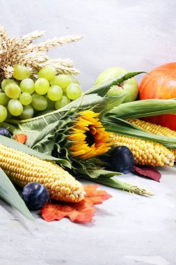 Sonbahar doğa kavramı. Sonbahar meyve ve sebze ahşap üzerine. Şükran günü yemeği. Mısır ve kabak ile ayçiçeği ve Erik