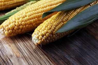 Kırsal ahşap masadaki koçanlarda taze mısır.
