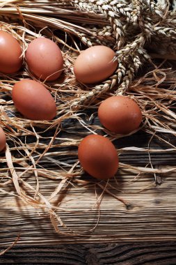 Yumurta. Ahşap rustik arka plan üzerinde taze çiftlik yumurtaları.