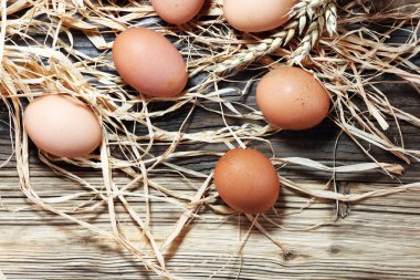 Yumurta. Ahşap rustik arka plan üzerinde taze çiftlik yumurtaları.