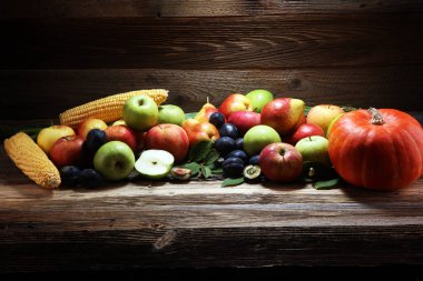 Çeşitli taze meyve. Şükran kabak, elma ve rustik arka plan üzerinde Mısır
