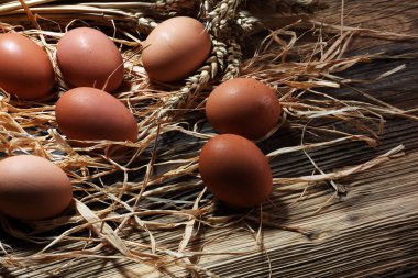 Yumurta. Ahşap rustik arka plan üzerinde taze çiftlik yumurtaları.