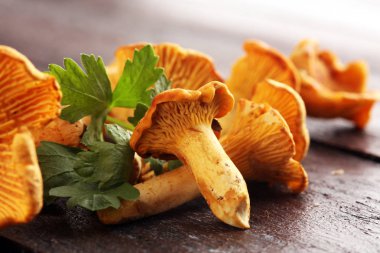 Çiğ mantar mantarı. Yaban mantarlı kompozisyon.