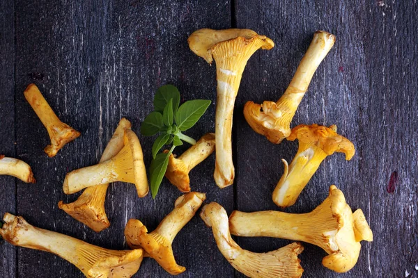 Rauwe Wilde Chanterelle Paddenstoelen Samenstelling Met Wilde Paddenstoelen — Stockfoto