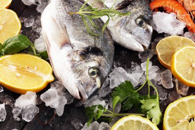 Lezzetli taze balık. Balık aromatik otlar, baharatlar ve sebzeler - sağlıklı gıda, diyet veya pişirme kavramı ile