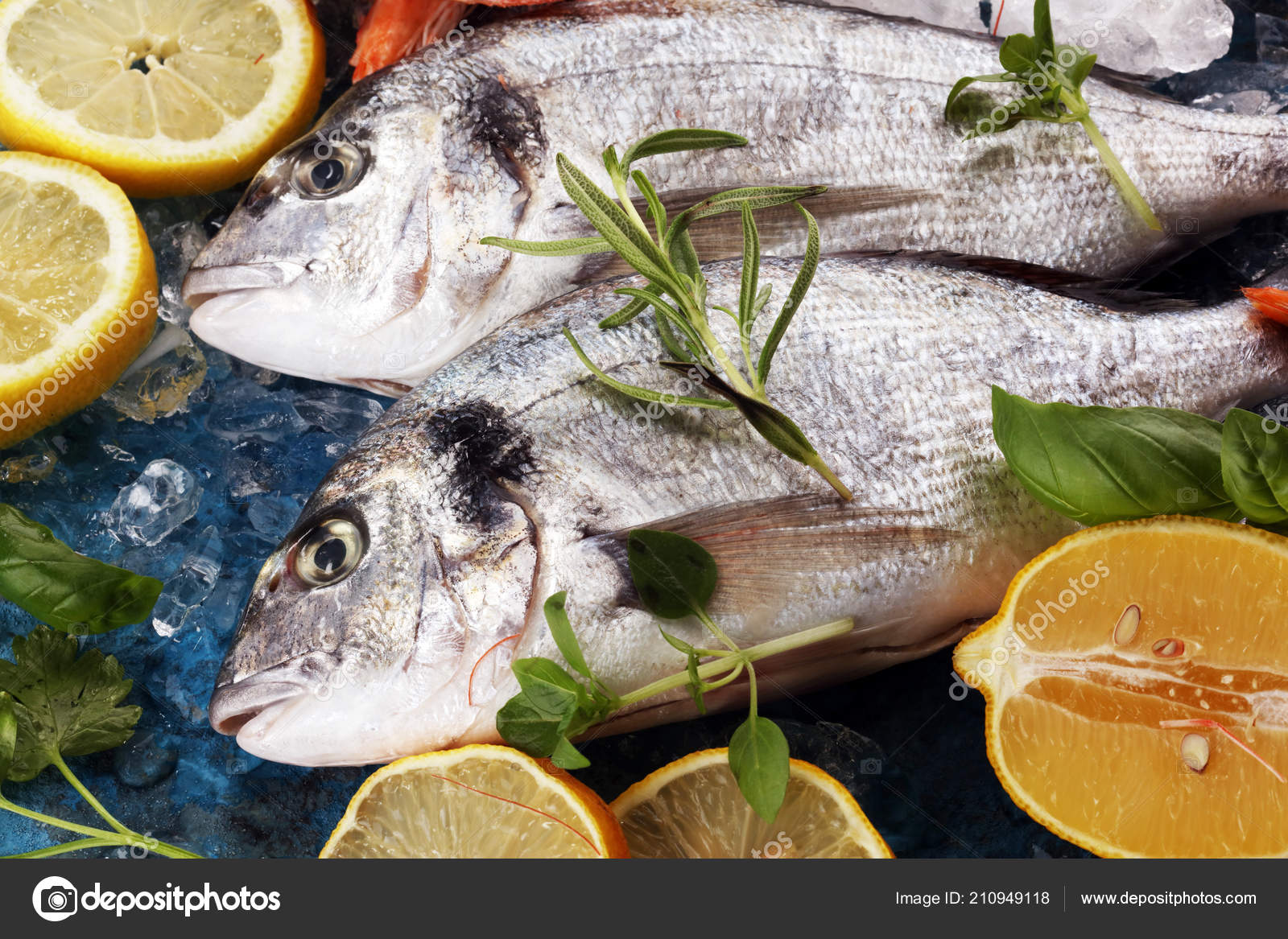 魚写真素材 ロイヤリティフリー魚画像 Depositphotos 魚写真素材 ロイヤリティフリー魚画像 Depositphotos