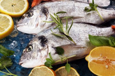 Lezzetli taze balık. Balık aromatik otlar, baharatlar ve sebzeler - sağlıklı gıda, diyet veya pişirme kavramı ile