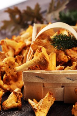 Çiğ mantar mantarı. Yaban mantarlı kompozisyon.