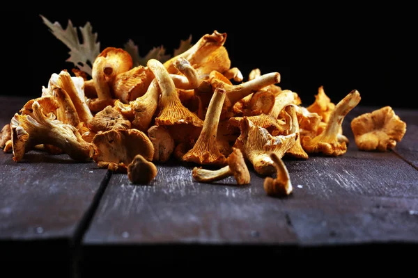 Cogumelos Chanterelle Selvagens Crus Composição Com Cogumelos Selvagens — Fotografia de Stock