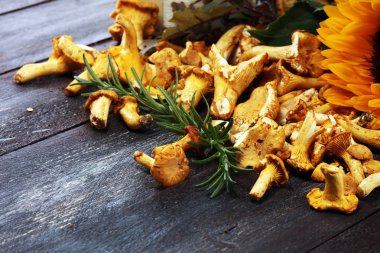 Çiğ mantar mantarı. Yaban mantarlı kompozisyon.