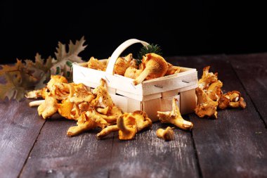 Çiğ mantar mantarı. Yaban mantarlı kompozisyon.