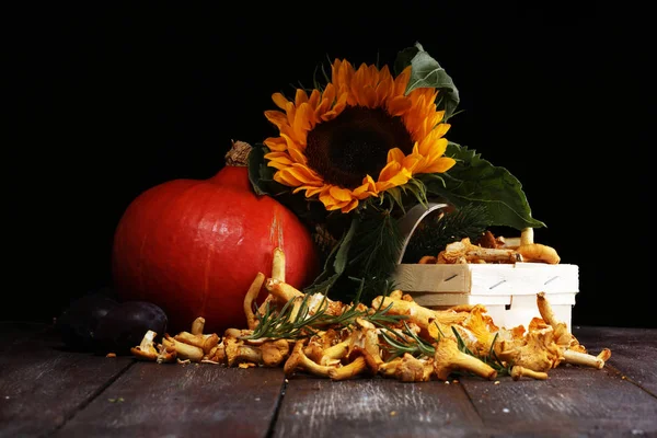 生野生鸡油菌蘑菇 与野蘑菇组成 秋天自然秋天水果和蔬菜 感恩节晚餐 — 图库照片
