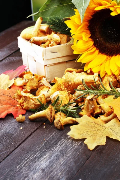 Raw Divoké Lišky Složení Hříbky Podzimní Příroda Podzim Ovoce Zeleniny — Stock fotografie