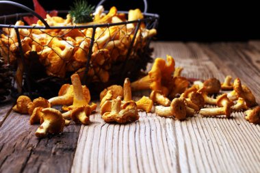 Çiğ mantar mantarı. Yaban mantarlı kompozisyon.