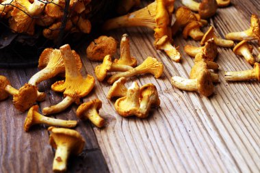 Çiğ mantar mantarı. Yaban mantarlı kompozisyon.