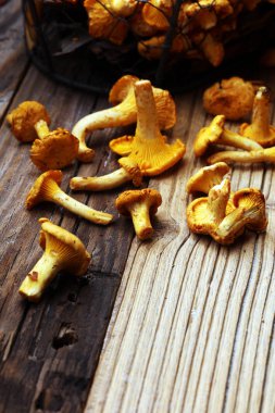 Çiğ mantar mantarı. Yaban mantarlı kompozisyon.