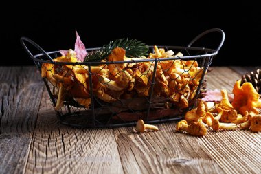 Çiğ mantar mantarı. Yaban mantarlı kompozisyon.