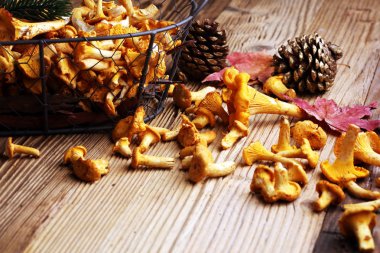 Çiğ mantar mantarı. Yaban mantarlı kompozisyon.