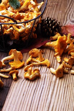 Çiğ mantar mantarı. Yaban mantarlı kompozisyon.