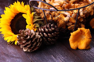 Çiğ mantar mantarı. Yaban mantarlı kompozisyon.