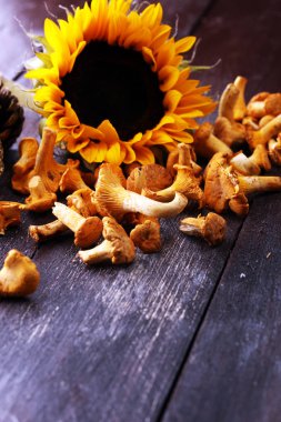 Çiğ mantar mantarı. Yaban mantarlı kompozisyon.