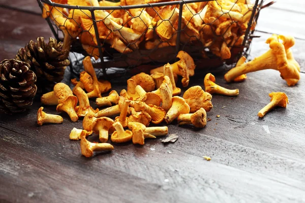 Çiğ mantar mantarı. Yaban mantarlı kompozisyon.