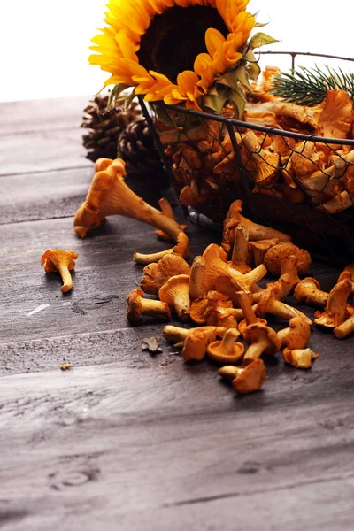 Champignons Chanterelles Sauvages Crus Composition Aux Champignons Sauvages — Photo