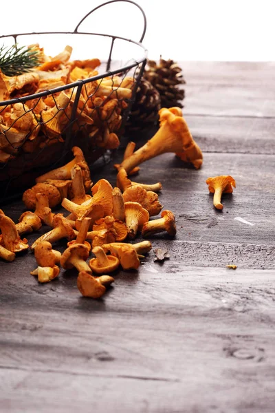 Çiğ mantar mantarı. Yaban mantarlı kompozisyon.