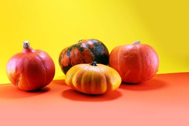 Kabaklar turuncu zemin üzerine çeşitli ürün yelpazesine. Sonbaharda hasat