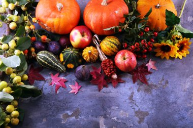 Sonbahar doğa kavramı. Sonbahar meyve ve sebze ahşap üzerine. Şükran günü yemeği. Erik ve kabak ayçiçeği ve elma ile