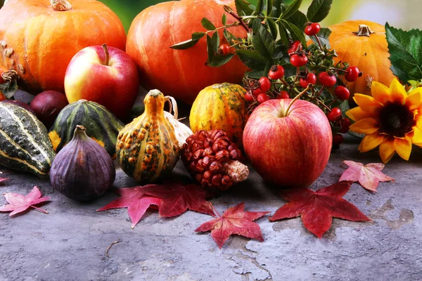 Herfst Natuur Concept Herfst Groenten Fruit Hout Thanksgiving Diner Pruimen — Stockfoto