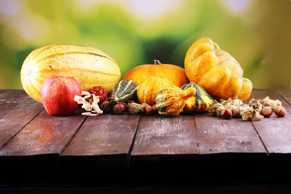 Diverse Assortiment Pompoenen Een Houten Ondergrond Herfstoogst — Stockfoto