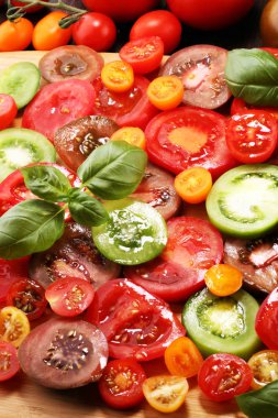 Kırsal masada çeşitli renkli domatesler ve fesleğen yaprakları. Taze zebra domates ve cccor de boeuf