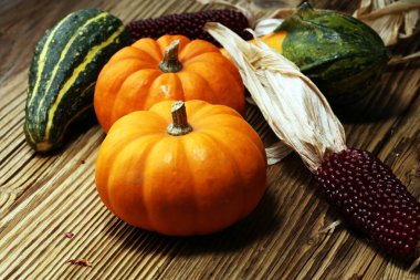 Ahşap arka planda çeşitli kabak çeşitleri. Sonbahar hasadı.