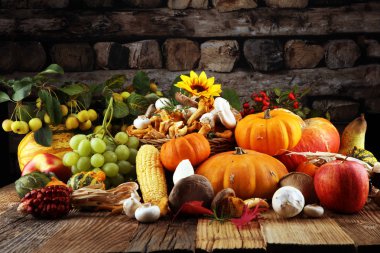 Sonbahar doğa kavramı. Sonbahar meyve ve sebze ahşap üzerine. Şükran günü yemeği. Mısır ve kabak ile ayçiçeği ve Erik