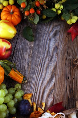 Sonbahar doğa kavramı. Sonbahar meyve ve sebze ahşap üzerine. Şükran günü yemeği. Mısır ve kabak ile ayçiçeği ve Erik