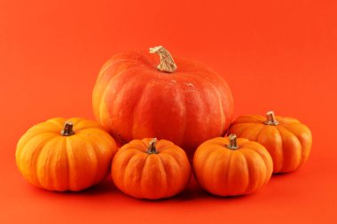 Kabaklar turuncu bir arka plan üzerinde çeşitli ürün yelpazesine. Sonbaharda hasat.